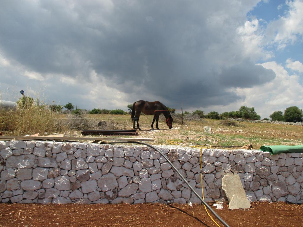 Villa Le Mangiatoie Del Re Giordano Avola Exterior foto